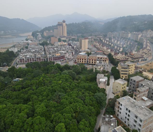 省住建厅驻村帮扶丰顺县留隍镇口舖村实施乡村振兴战略之探索11.png