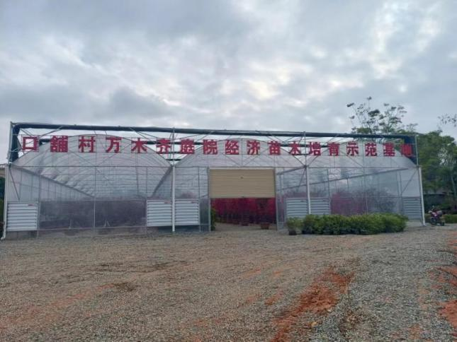 省住建厅驻村帮扶丰顺县留隍镇口舖村实施乡村振兴战略之探索12.png