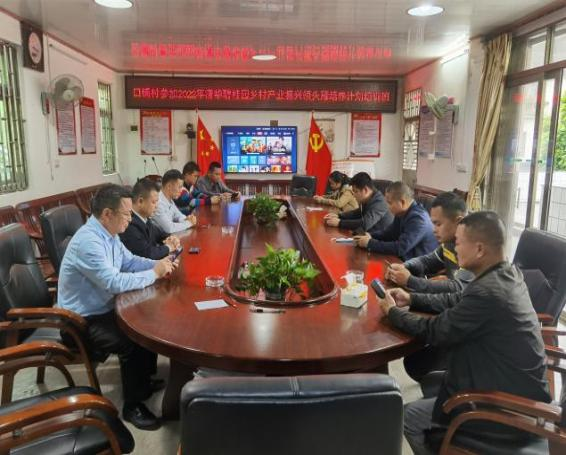 省住建厅驻村帮扶丰顺县留隍镇口舖村实施乡村振兴战略之探索13.png