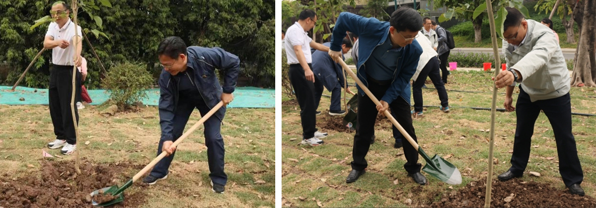 植树主题党日活动3.jpg