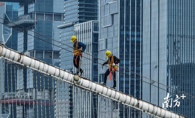广州市猎德大桥上的灯光布局在索缆一侧，立体吊桥的维护难度大，风险高，工人们边走边看，不放过每一个细节。