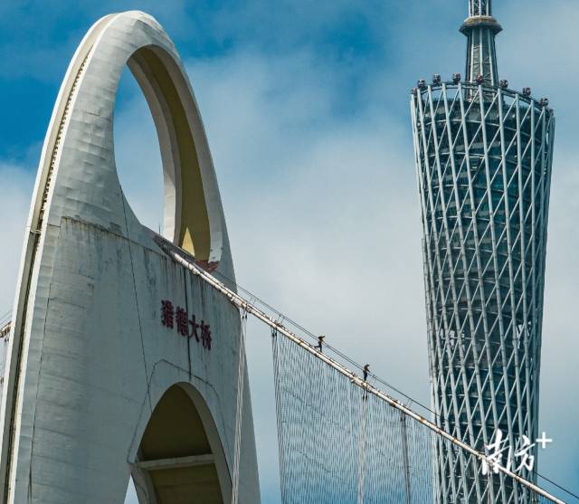 广州市猎德大桥上，灯光维护人员正在缆索上查看桥梁上的灯具。