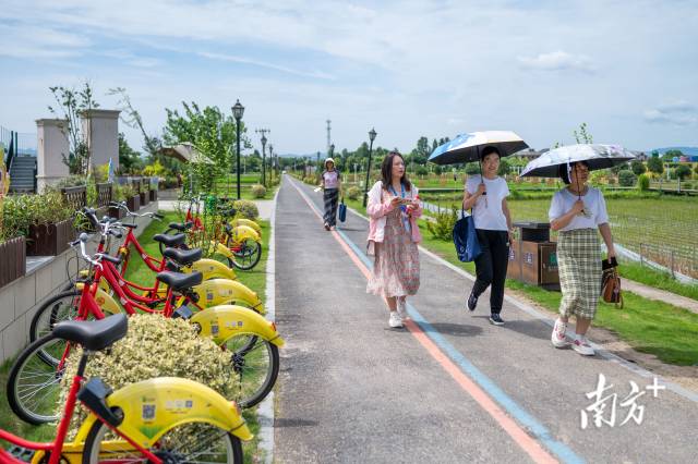 杭州市余杭区余杭街道永安村，以稻为基础发展一二三产融合，吸引不少游客前来观光。