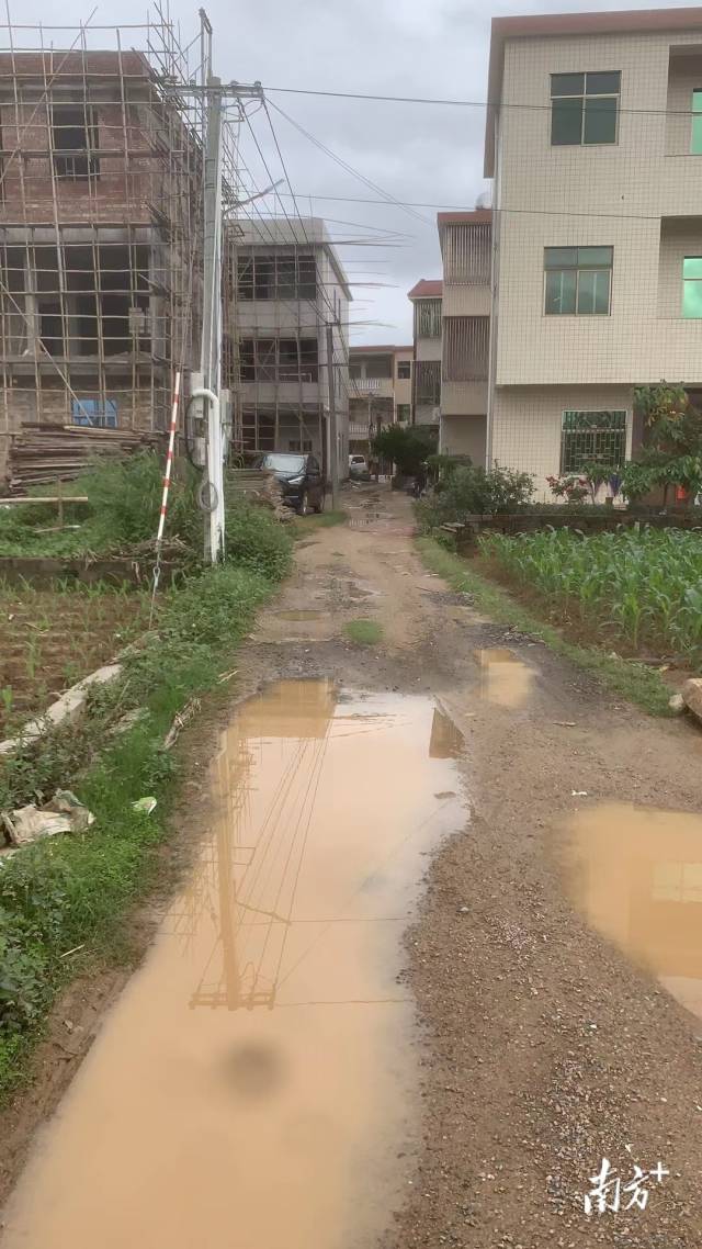 转存图片