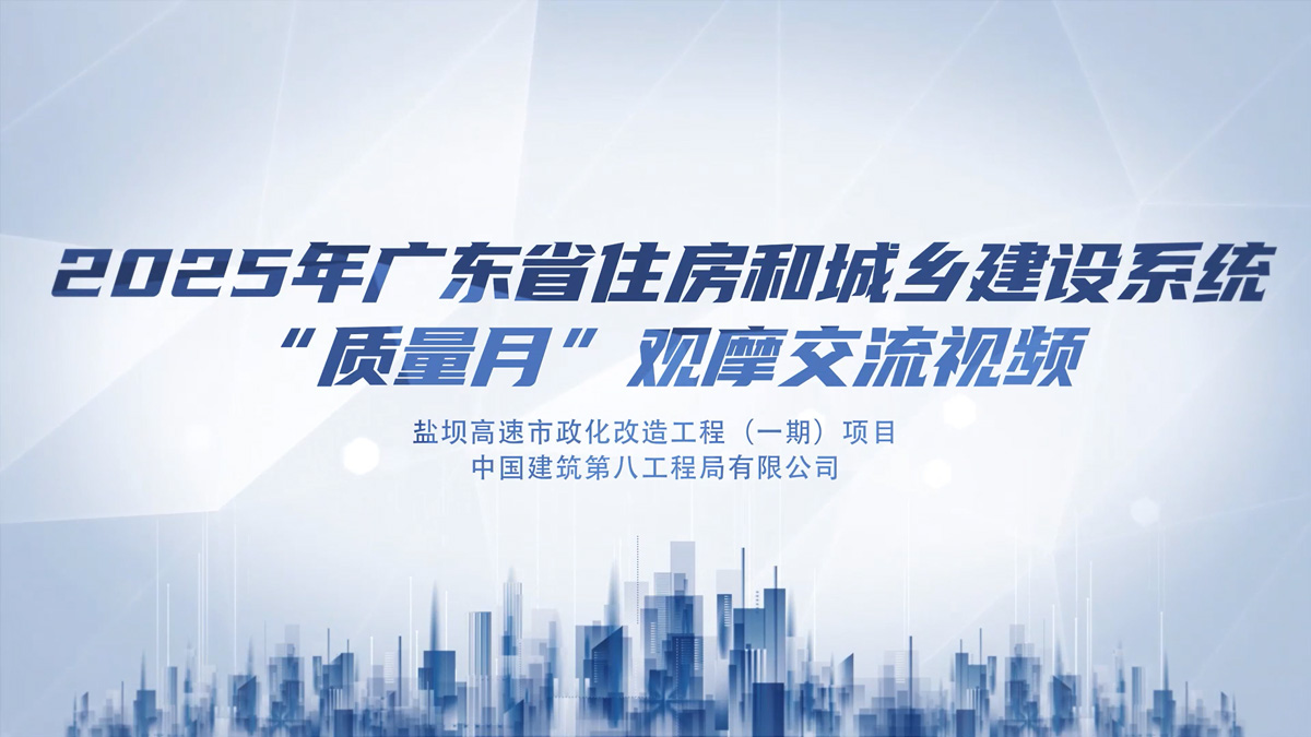 深圳市盐坝高速市政化改造工程（一期）项目